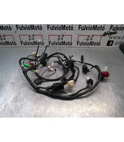 Faisceau électrique JM MOTORS SANTANA 125 – 2024 Dernière Chance