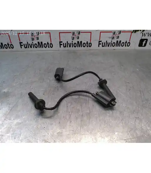 Bobine allumage YAMAHA TDM 900 – 2002 Dernière Chance