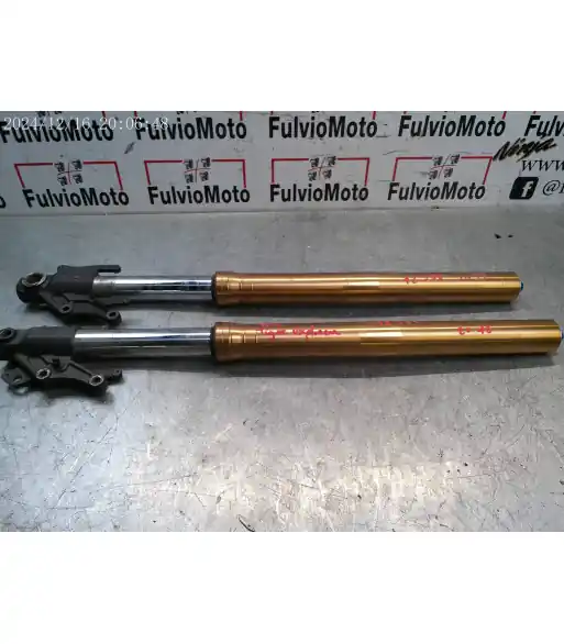 Tube de fourche LOT TRIUMPH TIGER 1200 – 2012-2015 Réduction