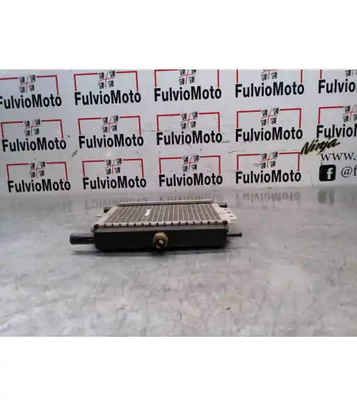 Radiateur d'eau PEUGEOT SATELIS 125 – 2015 Offre Du Jour