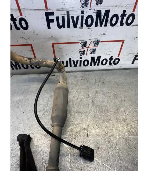 Marque Ligne échappement JM MOTORS QT50 50 – 2023