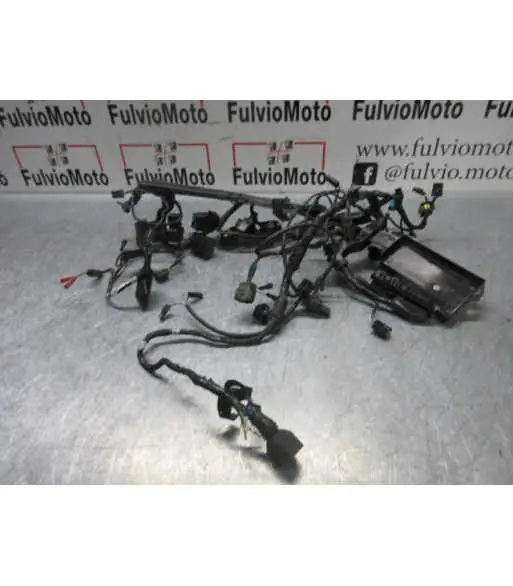 Dernier Modèle Faisceau électrique TRIUMPH STREET TRIPLE 675 – 2013
