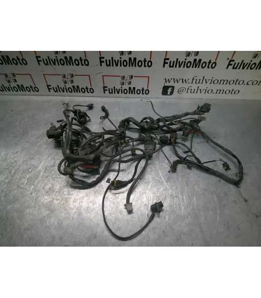 Faisceau électrique DUCATI MONSTER 620 – 2004 Acheter Direct