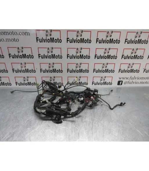 Faisceau électrique DUCATI HYPERMOTARD 950 – 2020 Certifié