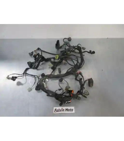 Affaire À Saisir Faisceau électrique – KAWASAKI Z750 750 – 2007