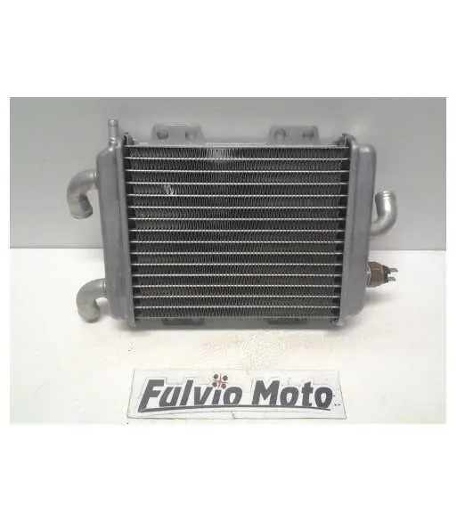 Radiateur d'eau – PEUGEOT ELYSEO 150 – 2008 Offre Limitée