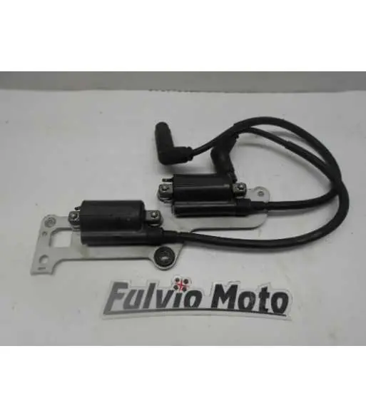 bobine allumage rsv 1000 Produit De Marque