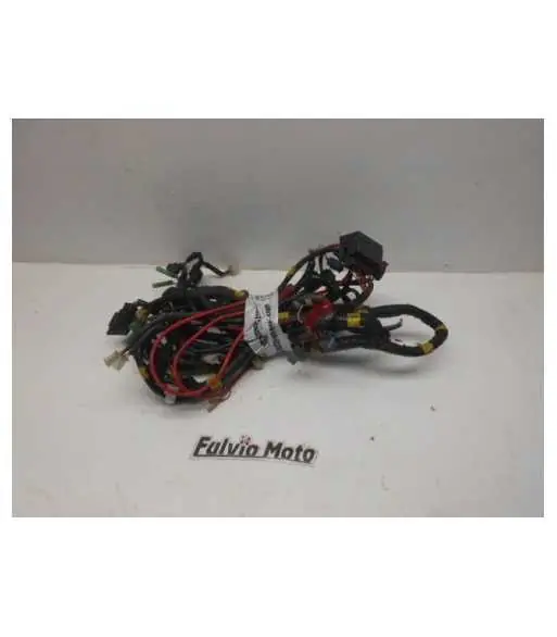 Faisceau electrique – QUADRO S 350 – 2012 Marque