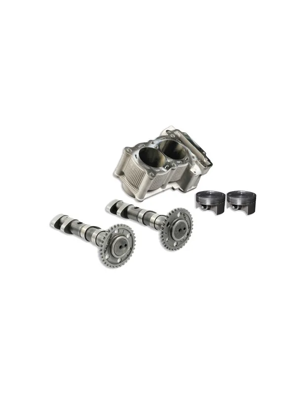 Kit cylindre et arbre a cames Malossi TMAX 500 01-11 Offre Du Jour