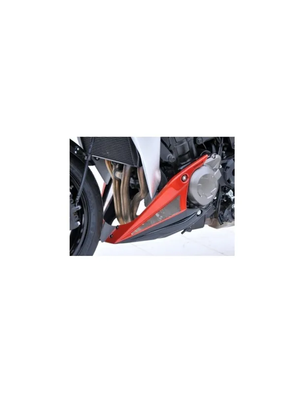 Expédition Rapide Sabot moteur Ermax Kawasaki Z1000 14-20