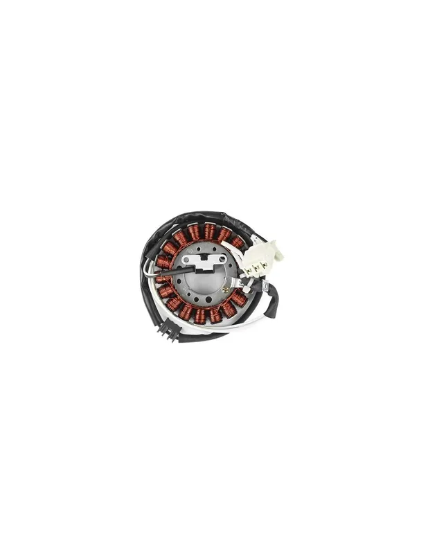 Expédié Aujourd&rsquo;hui Stator allumage Yamaha TMAX 500 01-03