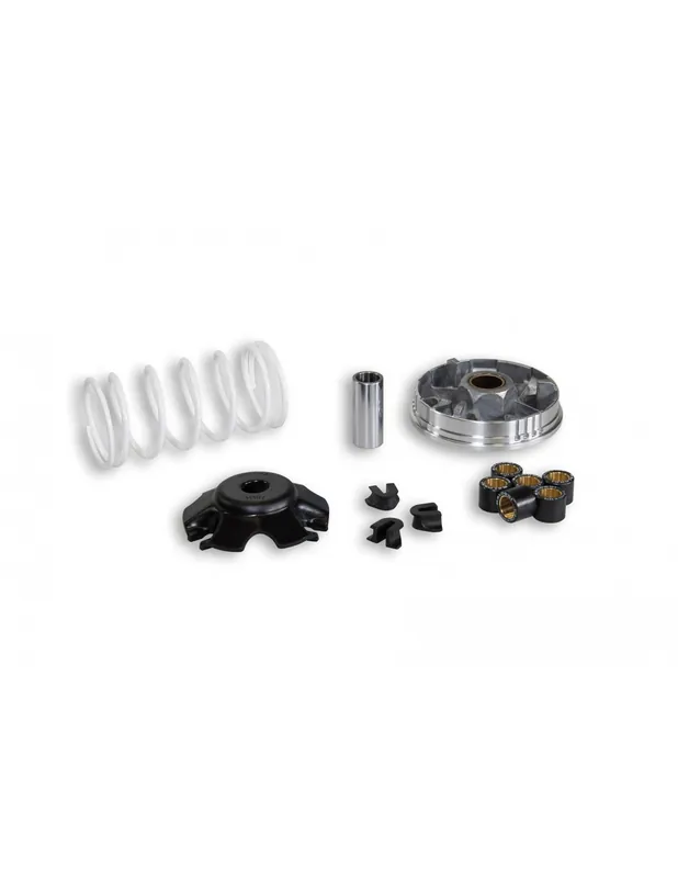 Populaire Variateur Malossi Honda Bali 100 SH 100 2t