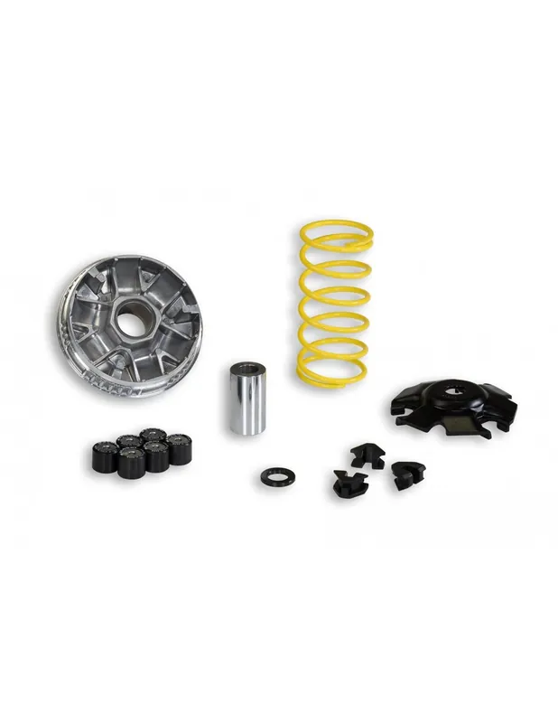 Meilleure Vente Variateur Malossi Quad Linhai Monarch 125 150 Kayman WT Motor 150
