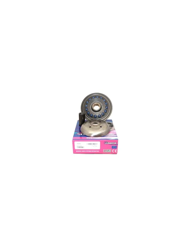 Variateur JCosta Pro Nexus 500 MP3 400 500 X10 Satelis Beverly Geopolis X9 Xevo 400 500 Atlantic Scarabeo Acheter En Ligne