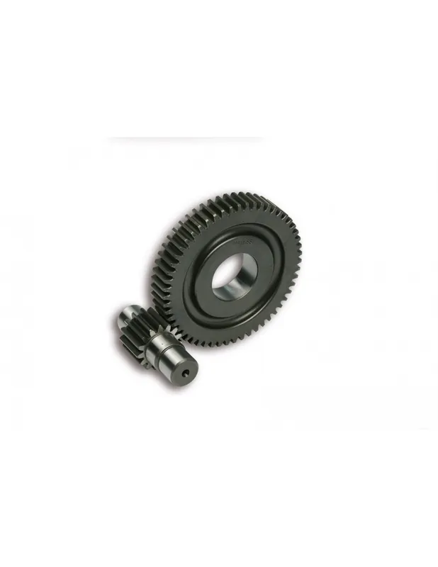 Transmission secondaire 15/55 Scarabeo 50 4t Liberty 50 Iget Vespa Primavera 50 4t Iget Sprint Iget 50 4t Acheter Direct