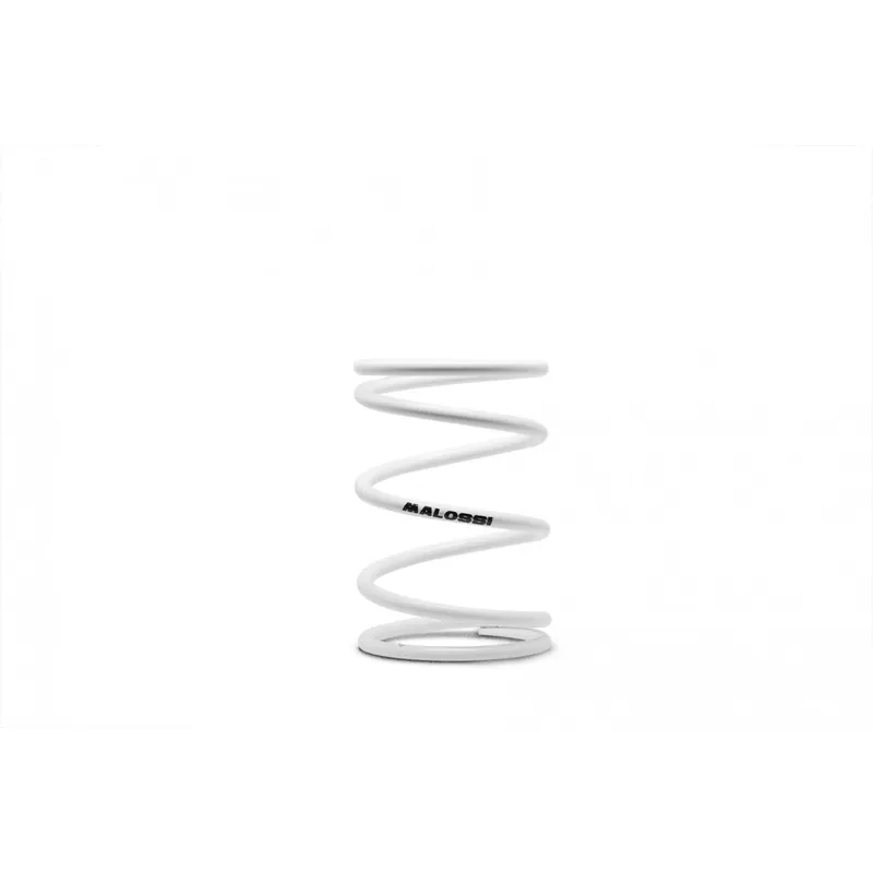 Ressort de contre variateur Malossi blanc SYM HD 300 euro-4 19-20 Marque