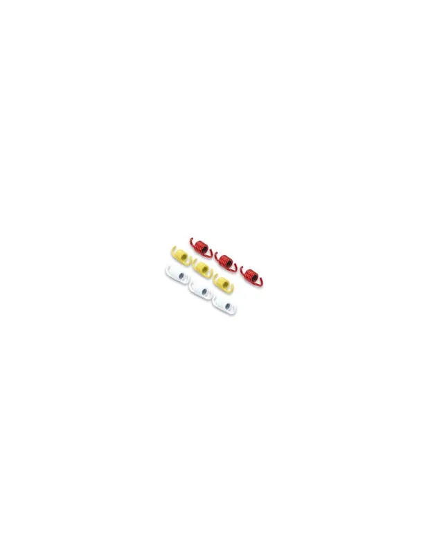 Ressorts d’embrayage Malossi Peugeot Belville 125 17-20 (pour embrayage d&rsquo;origine) Réduction