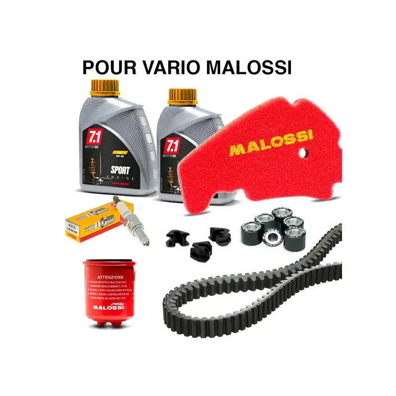 Top Vente Kit révision Piaggio MP3 300 14-18 / MP3 300 Yourban 11-18 (pour vario Malossi)