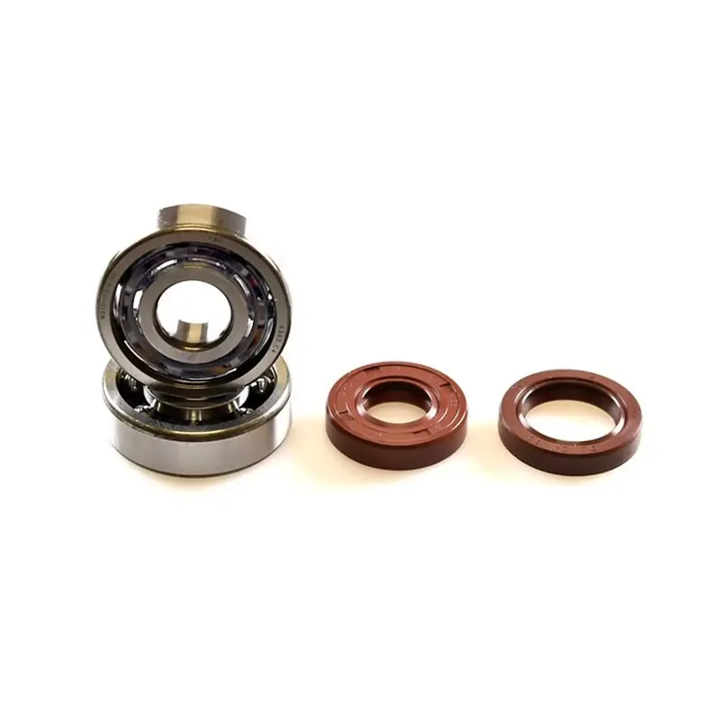 Kit Roulements C3 + Joints Spi Viton AM6 – BIXESS 6303 Soldes