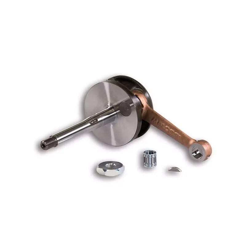 Vilebrequin Piaggio Ciao Bravo pour Carter MALOSSI MP-One Axe 10mm Jusqu&rsquo;à Épuisement Des Stocks