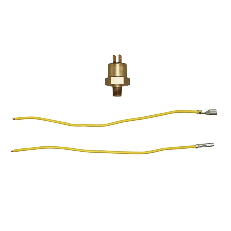 Sonde de température / Thermocontact pour adaptateur 1/8" – VOCA Racing Promotion Saisonnière