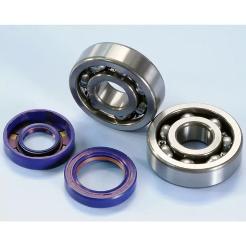 Promotion Saisonnière Kit Roulements C4 + Joints Spi Viton AM6 – Polini 6303