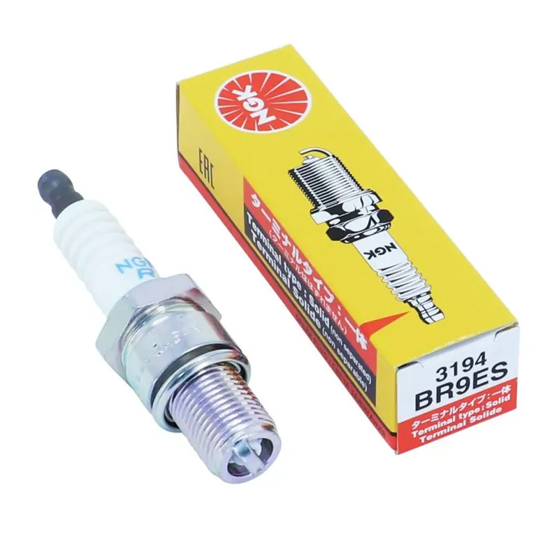 Bougie NGK BR9ES (3194) Petit Prix