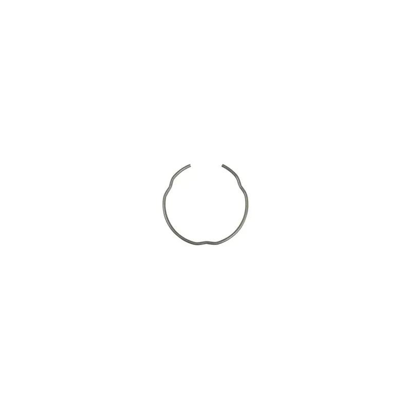 CIRCLIPS Super Prix