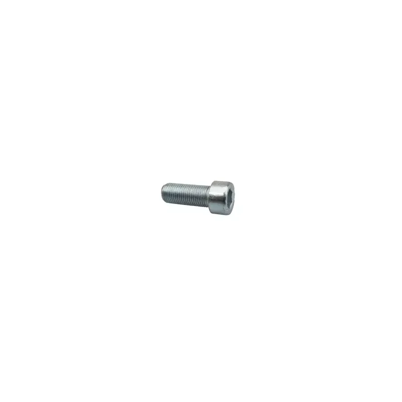 Acheter Direct VIS BTR (D10) INFERIEURE DE FOURREAU DE FOURCHE ORIGINE DERBI 50 SENDA 2010// GILERA 50 SMT, RCR 2011//APRILIA 50 SX, RX 2018/