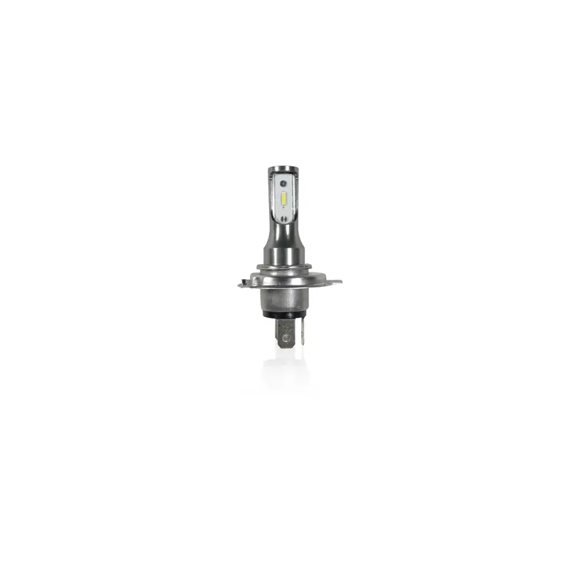 AMPOULE 2 LEDS 12V 1860SMD Prix Promo