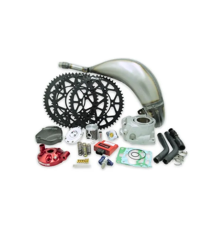 Usine Directe KIT FACTORY REPLICA XX125 MY22-MY25