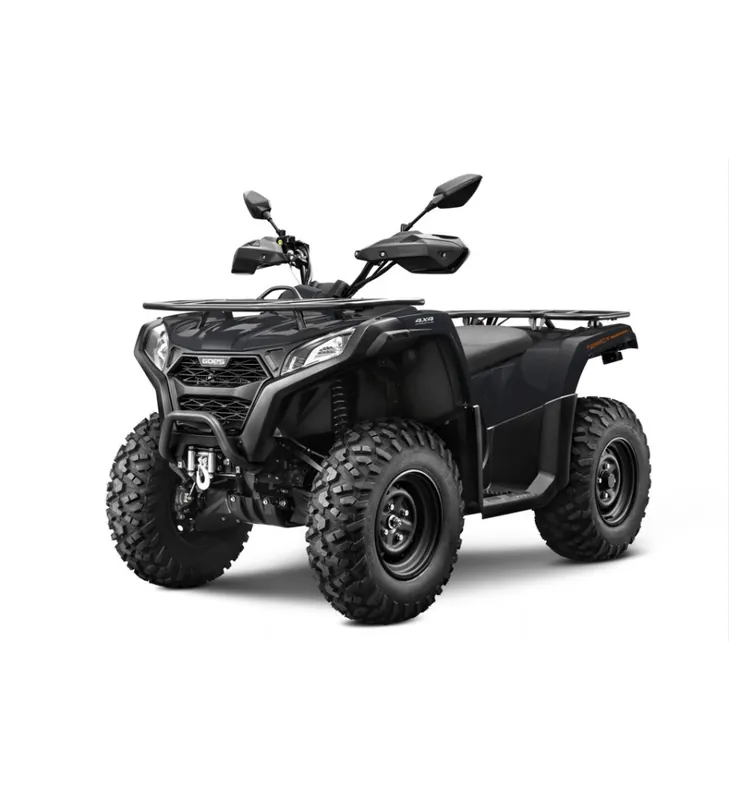 Réduction QUAD GOES TERROX 400 T3 COURT INJECTION