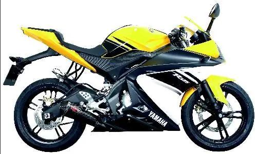YZF 125R 08/09 Scorpion Premium ovale ligne carbone Prix Choc