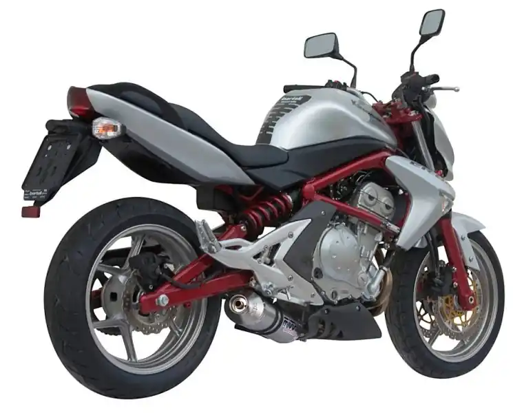 Mivv silencieux Sportline titane pour ER6 ( ER650A ) Quantité Limitée