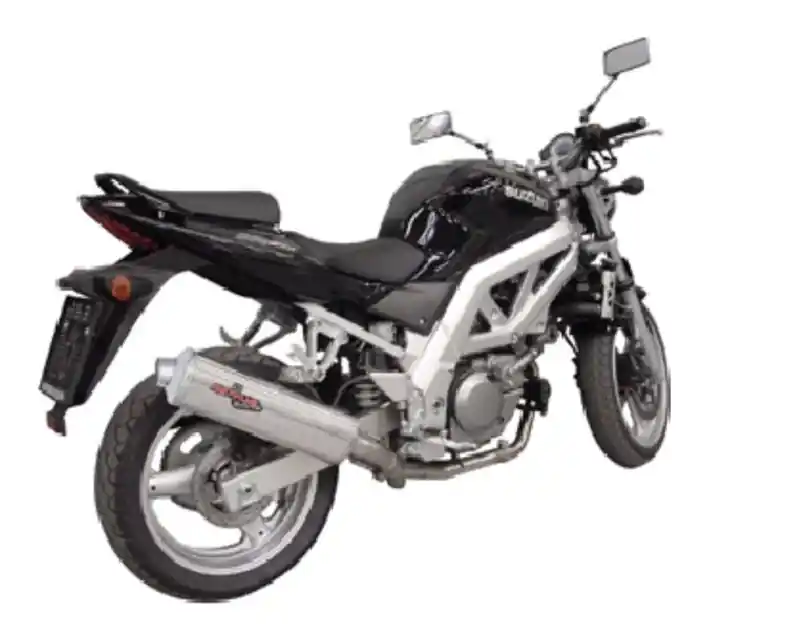 Affaire À Saisir MIVV Remus Revolution pour Suzuki SV650 N/S 2003