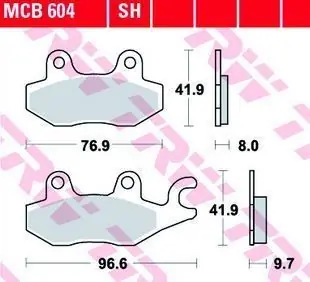 Expédition Rapide Plaquettes AR pour Triumph 900 Speed Triple 1994-1996
