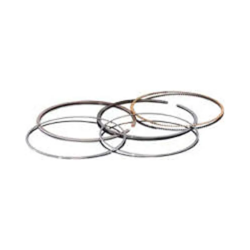 Authentique Jeu de segments Ø66.40mm Prox pour 245002DA/DB/DC