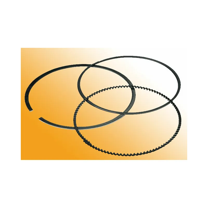 Seulement Aujourd&rsquo;hui Segment ATHENA pour piston 9354DA