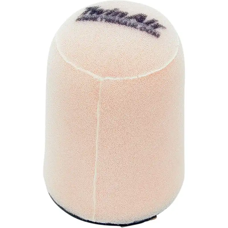 Certifié AIR FILTER TWIN AIR CA-AM
