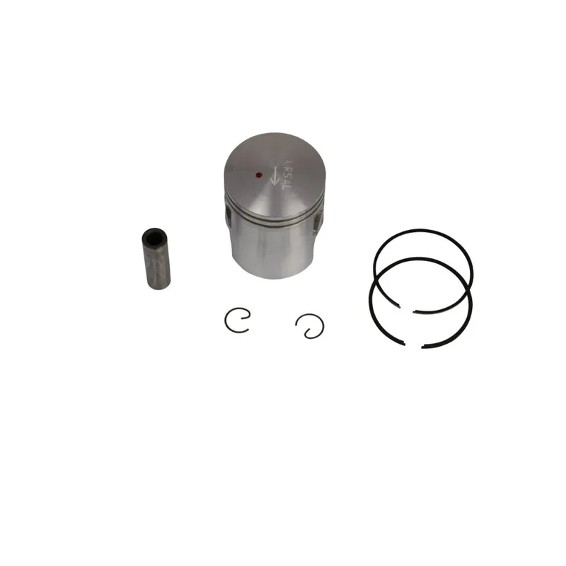 Meilleur Choix PISTON PEU LUDIX