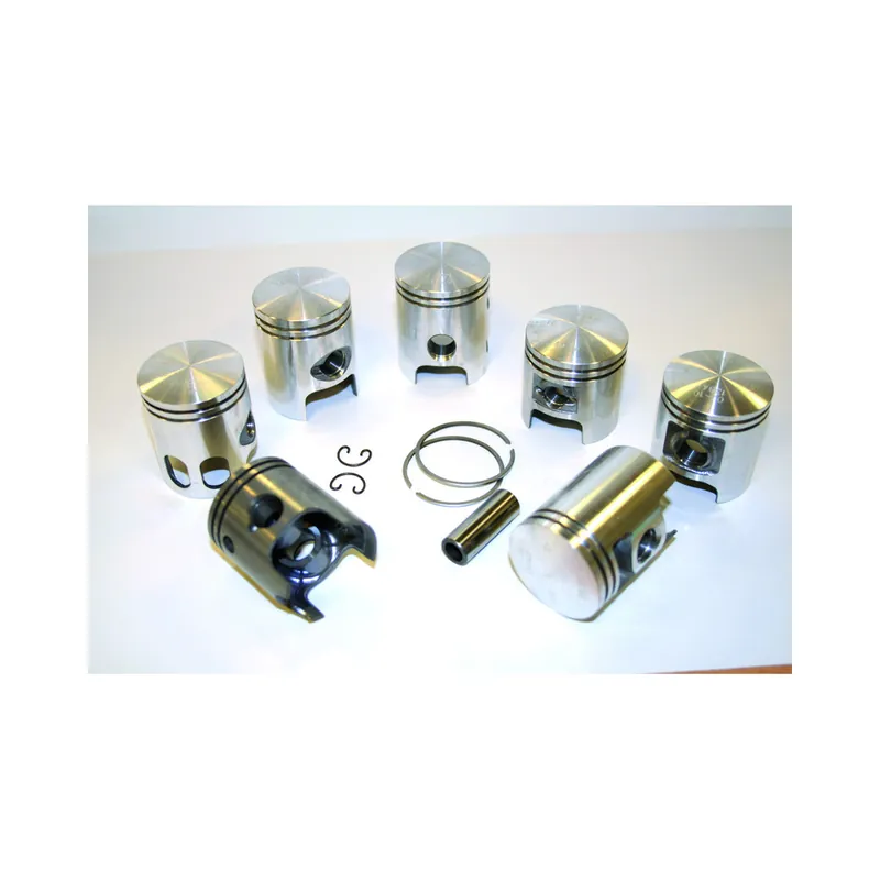 Usine Directe Piston coulé VERTEX – 24570