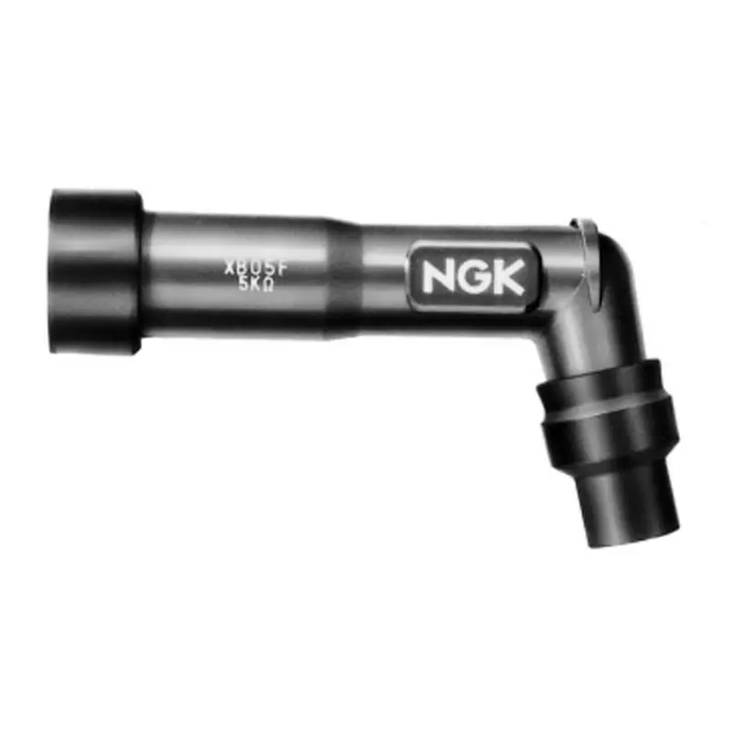 Anti-parasite NGK – XB10F Authentique