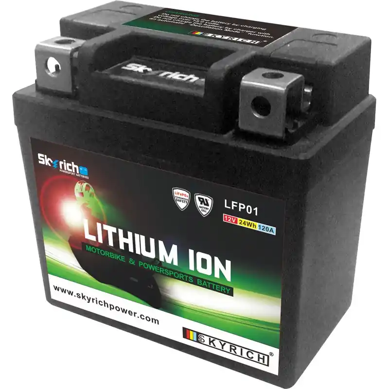 Batterie SKYRICH Lithium-Ion – LTKTM04L Prix Choc