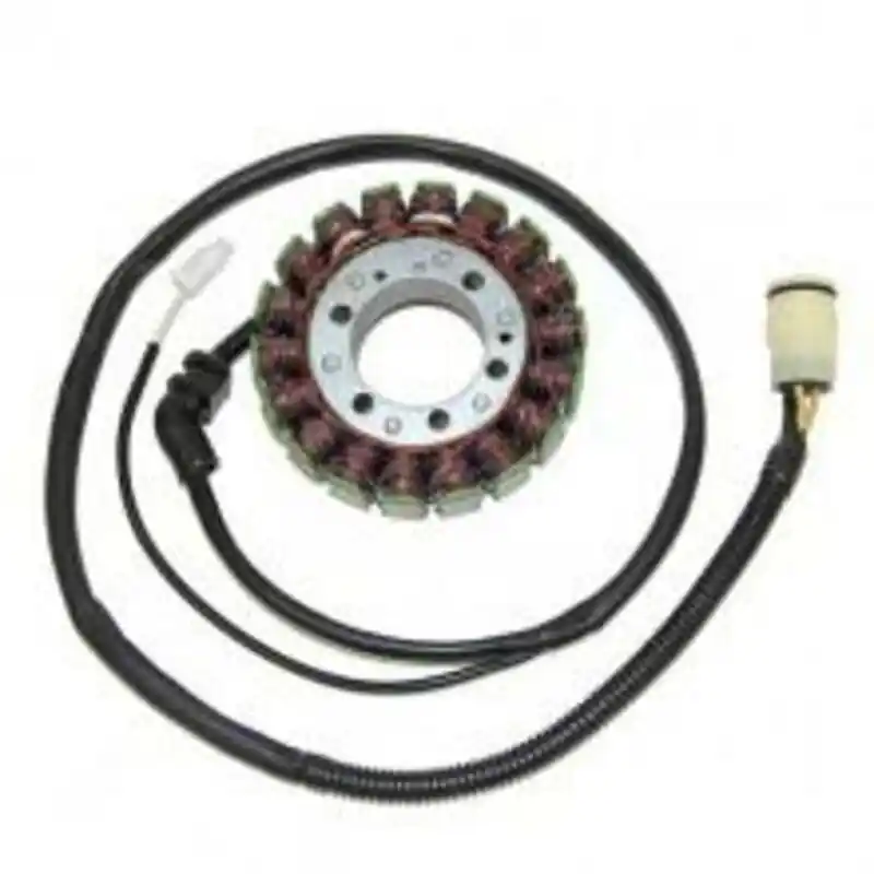 Stator ELECTROSPORT – Kawasaki ZX12R Affaire À Saisir