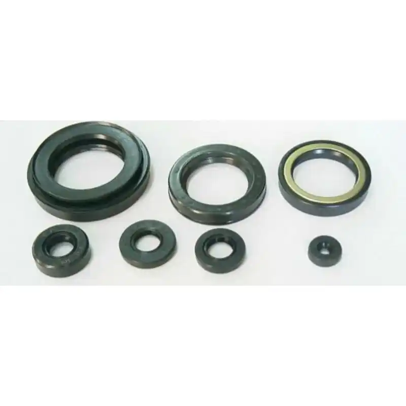 Solde Jeu de joints spi moteur TOURMAX
