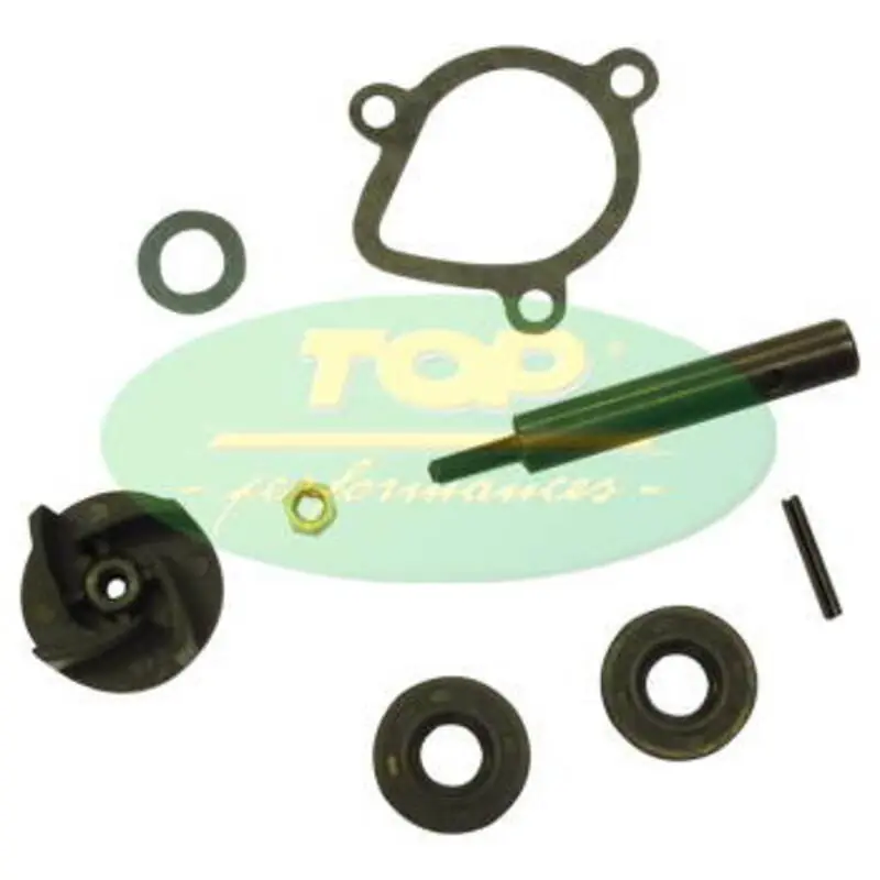 Kit réparation de pompe à eau TOP PERFORMANCES Super Prix