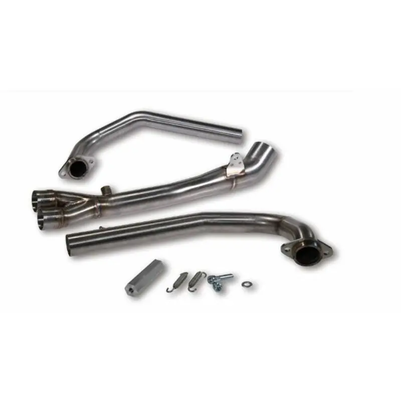 Collecteur MALOSSI Wild Lion – Inox Carbon Meilleur Prix