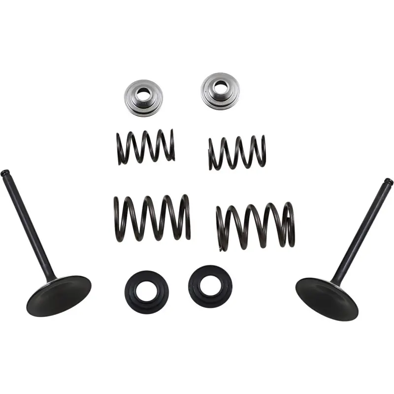 Commande En Gros VALVE KIT IN MSE LTR450