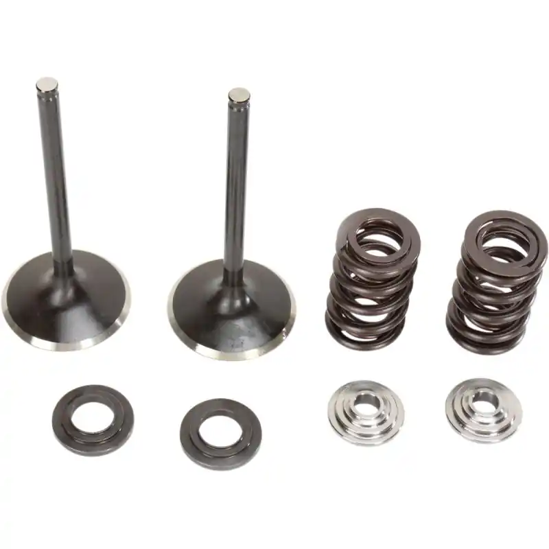 VALVE KIT IN MSE 250SXF Affaire À Saisir