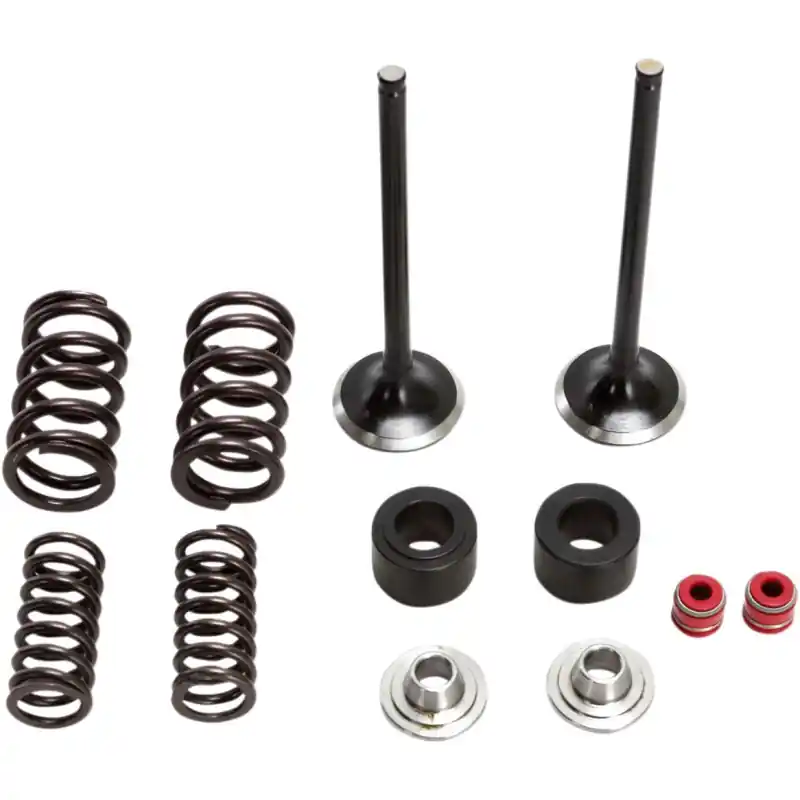 Vente Flash VALVE KIT EX MSE CRF250R